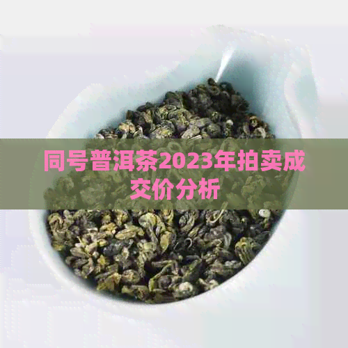 同号普洱茶2023年拍卖成交价分析