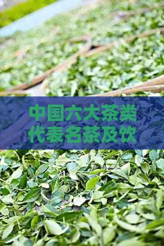 中国六大茶类代表名茶及饮用方法和用具：详解六大茶类特点与代表茶