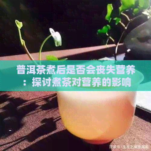 普洱茶煮后是否会丧失营养：探讨煮茶对营养的影响