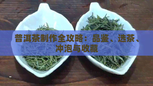 普洱茶制作全攻略：品鉴、选茶、冲泡与收藏