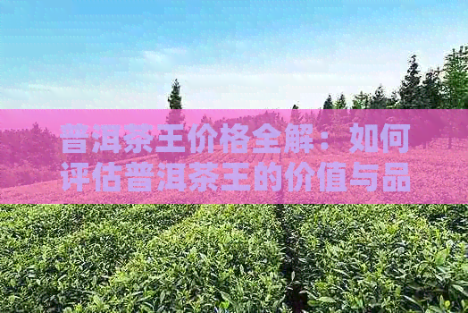 普洱茶王价格全解：如何评估普洱茶王的价值与品质？