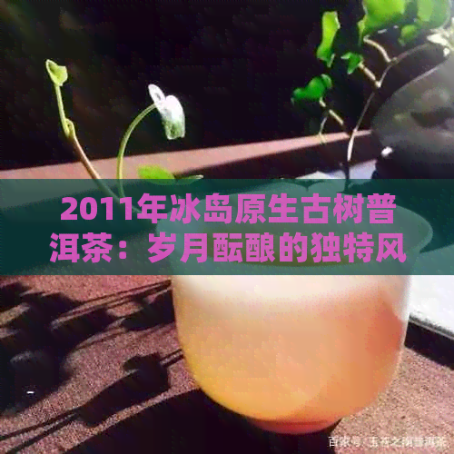 2011年冰岛原生古树普洱茶：岁月酝酿的独特风味