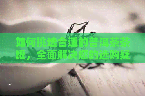 如何挑选合适的普洱茶茶罐，全面解决您的选购疑问