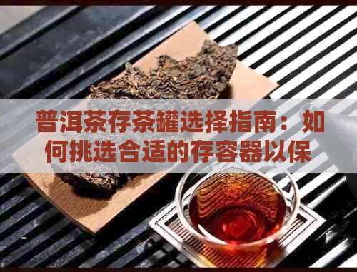 普洱茶存茶罐选择指南：如何挑选合适的存容器以保持茶叶品质与风味