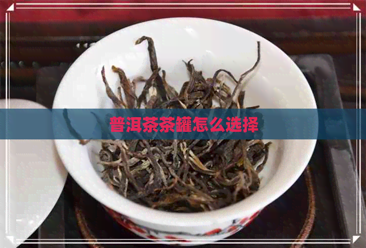 普洱茶茶罐怎么选择