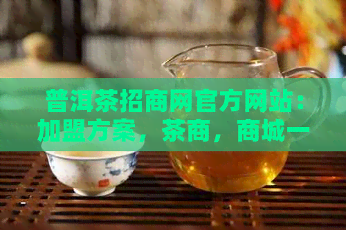 普洱茶招商网官方网站：加盟方案，茶商，商城一站式对接