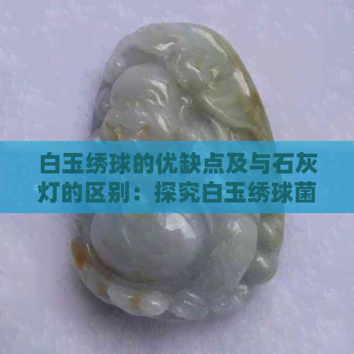 白玉绣球的优缺点及与石灰灯的区别：探究白玉绣球菌与白玉绣球花