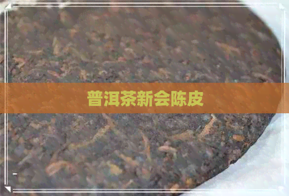 普洱茶新会陈皮