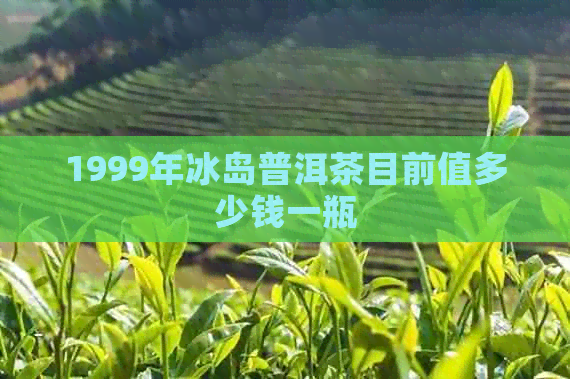 1999年冰岛普洱茶目前值多少钱一瓶