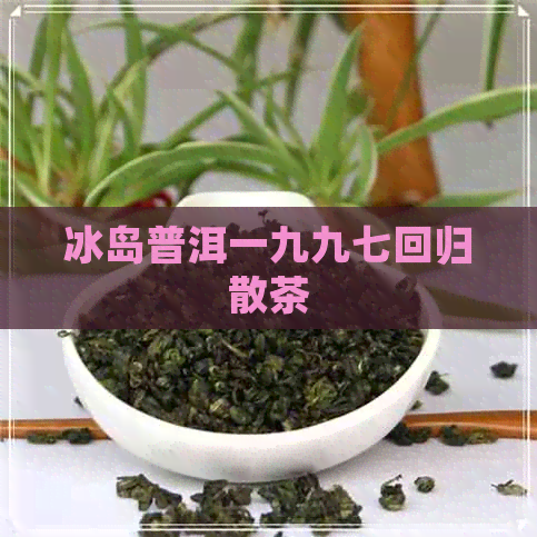 冰岛普洱一九九七回归散茶