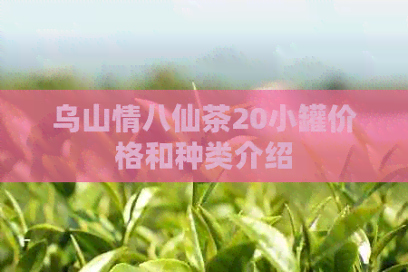 乌山情八仙茶20小罐价格和种类介绍