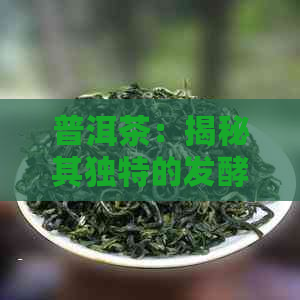 普洱茶：揭秘其独特的发酵过程及其与汗水的关系