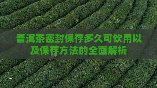 普洱茶密封保存多久可饮用以及保存方法的全面解析