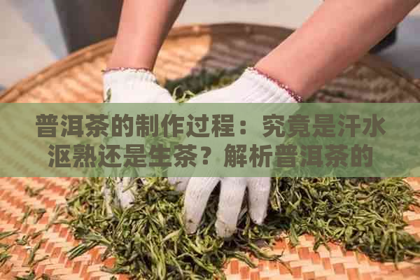 普洱茶的制作过程：究竟是汗水沤熟还是生茶？解析普洱茶的发酵与制作方法