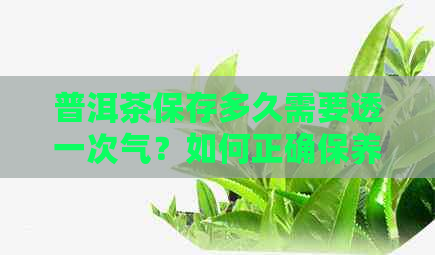 普洱茶保存多久需要透一次气？如何正确保养？