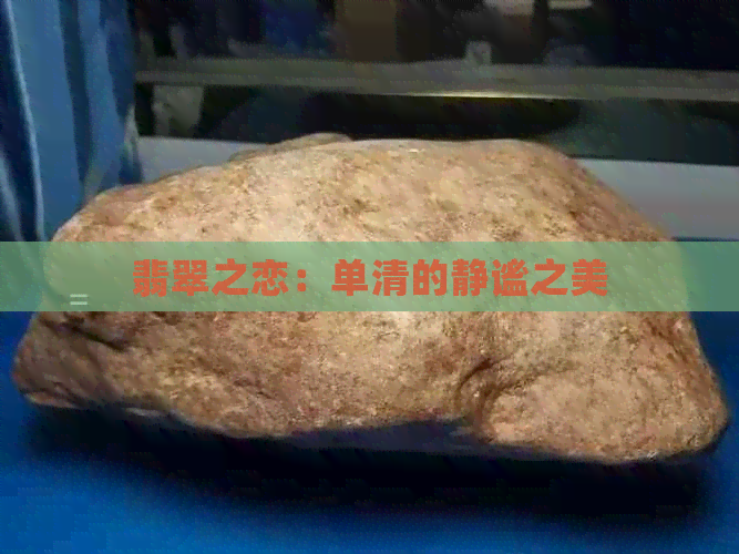 翡翠之恋：单清的静谧之美