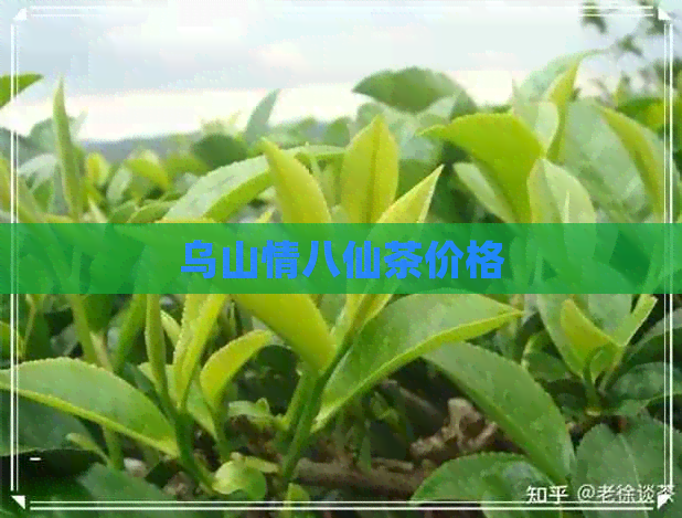 乌山情八仙茶价格