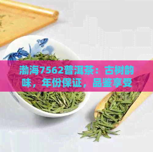 渤海7562普洱茶：古树韵味，年份保证，品鉴享受