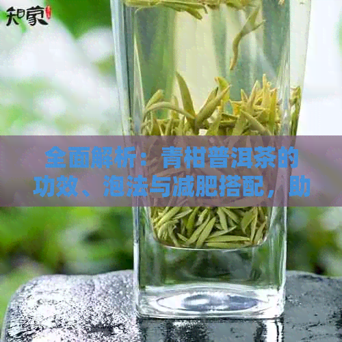 全面解析：青柑普洱茶的功效、泡法与减肥搭配，助您轻松瘦身！