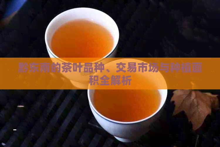 黔东南的茶叶品种、交易市场与种植面积全解析