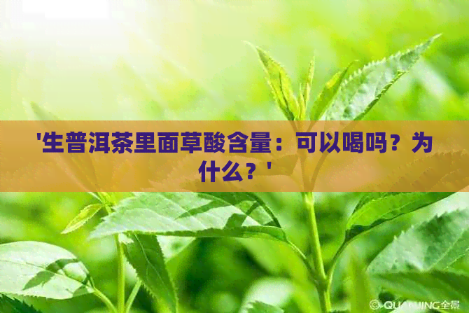 '生普洱茶里面草酸含量：可以喝吗？为什么？'