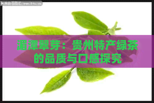 湄潭翠芽：贵州特产绿茶的品质与口感探究