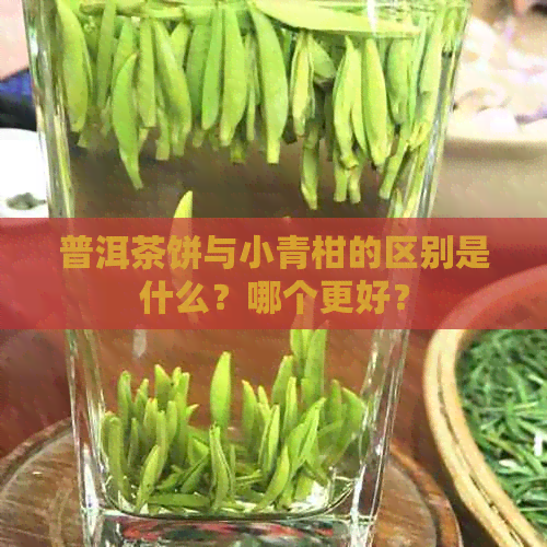 普洱茶饼与小青柑的区别是什么？哪个更好？