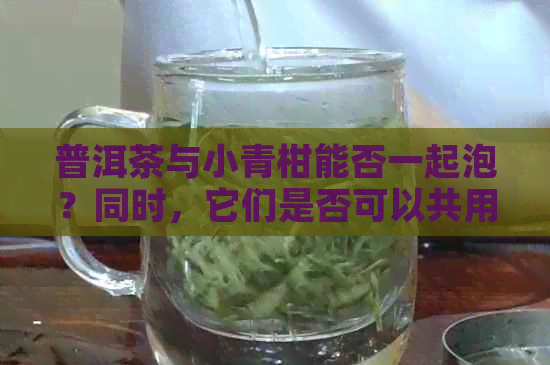 普洱茶与小青柑能否一起泡？同时，它们是否可以共用一个茶壶？