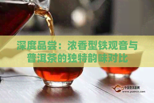 深度品尝：浓香型铁观音与普洱茶的独特韵味对比