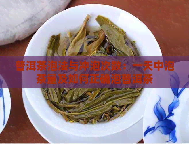 普洱茶泡法与冲泡次数：一天中泡茶量及如何正确泡普洱茶