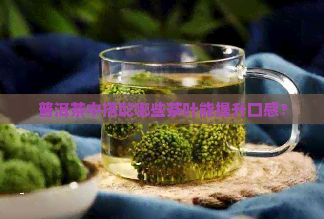 普洱茶中搭配哪些茶叶能提升口感？