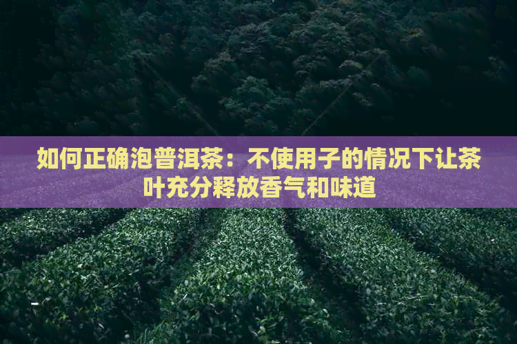 如何正确泡普洱茶：不使用子的情况下让茶叶充分释放香气和味道