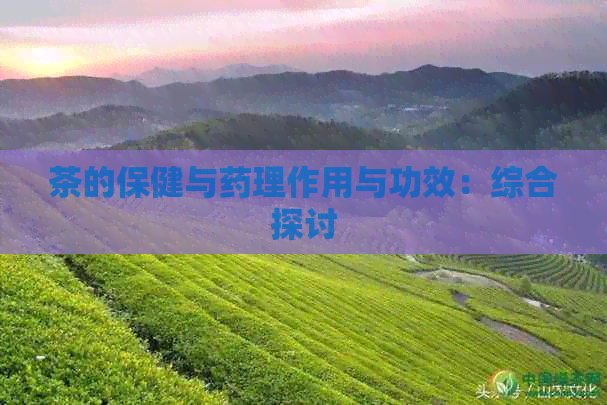 茶的保健与药理作用与功效：综合探讨