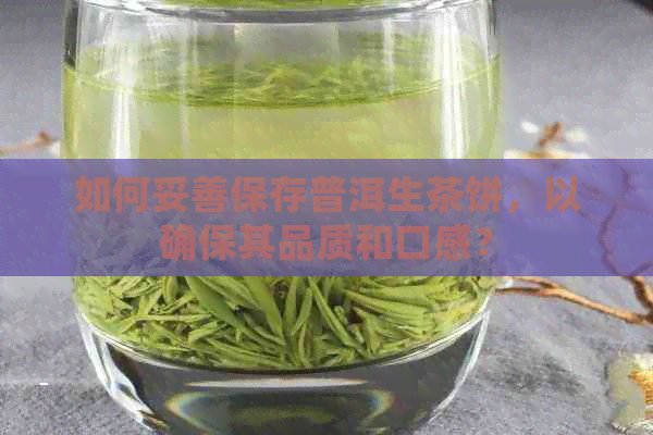 如何妥善保存普洱生茶饼，以确保其品质和口感？