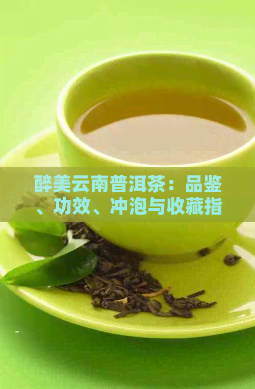 醉美云南普洱茶：品鉴、功效、冲泡与收藏指南，让你全面了解普洱茶的魅力