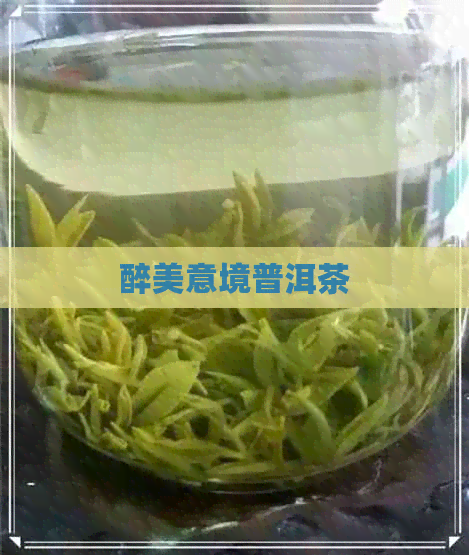 醉美意境普洱茶