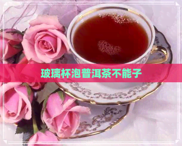 玻璃杯泡普洱茶不能子