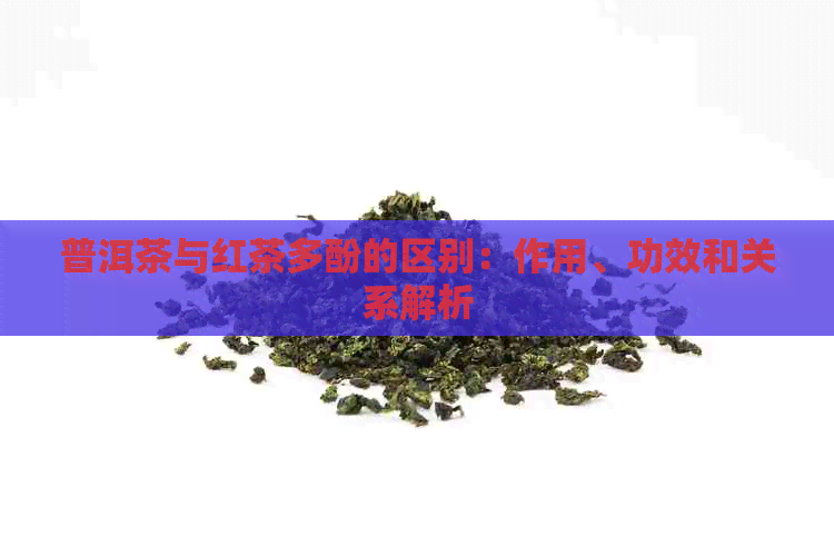 普洱茶与红茶多酚的区别：作用、功效和关系解析