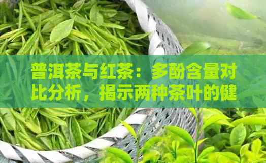 普洱茶与红茶：多酚含量对比分析，揭示两种茶叶的健益处差异