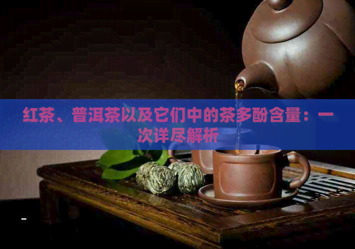 红茶、普洱茶以及它们中的茶多酚含量：一次详尽解析