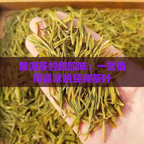 普洱茶的甜回味：一款值得品味的经典茶叶