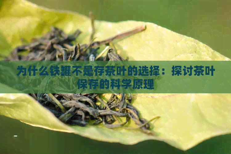 为什么铁罐不是存茶叶的选择：探讨茶叶保存的科学原理