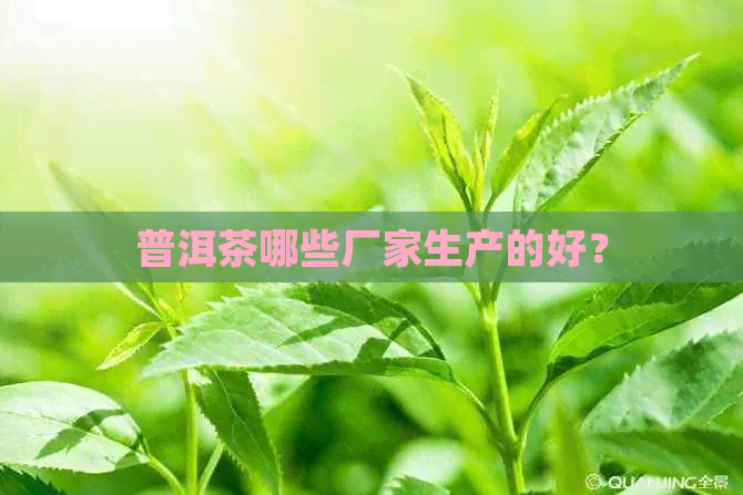 普洱茶哪些厂家生产的好？