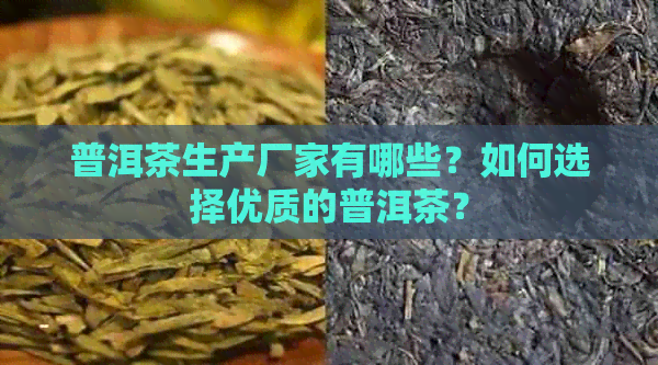 普洱茶生产厂家有哪些？如何选择优质的普洱茶？