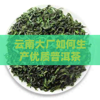 云南大厂如何生产优质普洱茶？揭开知名厂家的生产工艺秘密