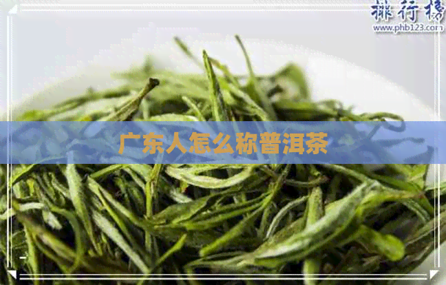 广东人怎么称普洱茶