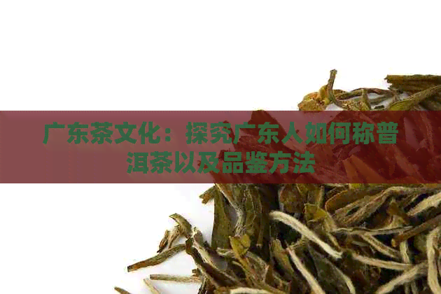 广东茶文化：探究广东人如何称普洱茶以及品鉴方法