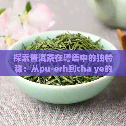 探索普洱茶在粤语中的独特称：从pu-erh到cha ye的微妙差别