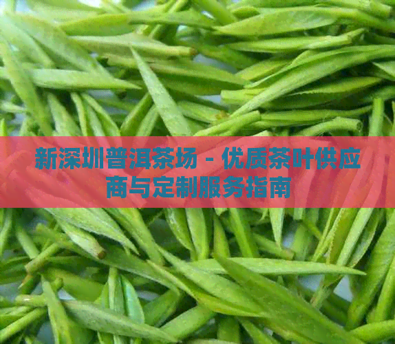 新深圳普洱茶场 - 优质茶叶供应商与定制服务指南