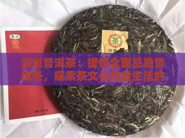 深圳普洱茶：提供全面品质普洱茶，探索茶文化与健生活的完美结合